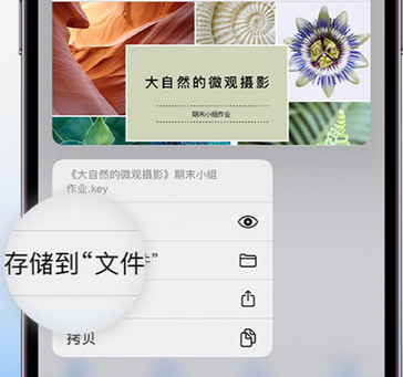 金沙apple维修中心分享iPhone文件应用中存储和找到下载文件