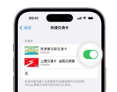 金沙apple维修点分享iPhone上更换Apple Pay快捷交通卡手绘卡面 