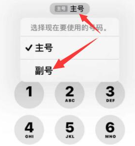 金沙苹果14维修店分享iPhone 14 Pro Max使用副卡打电话的方法 