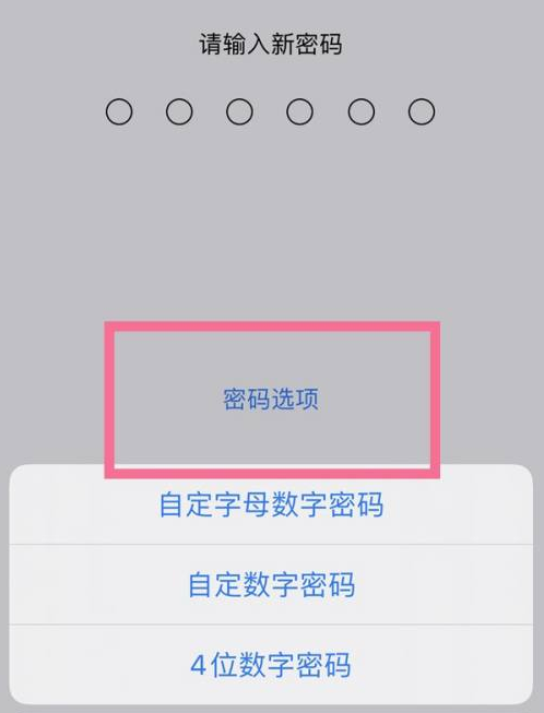 金沙苹果14维修分享iPhone 14plus设置密码的方法 