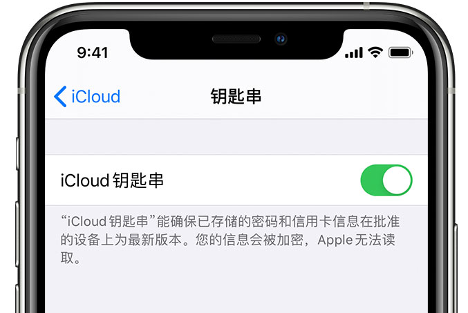 金沙苹果手机维修分享在 iPhone 上开启 iCloud 钥匙串之后会储存哪些信息 